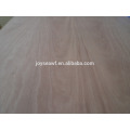 Swietenia mahagoni Plywood Fabricação